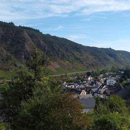 Ferienwohnung Lavendel Cochem Buitenkant foto