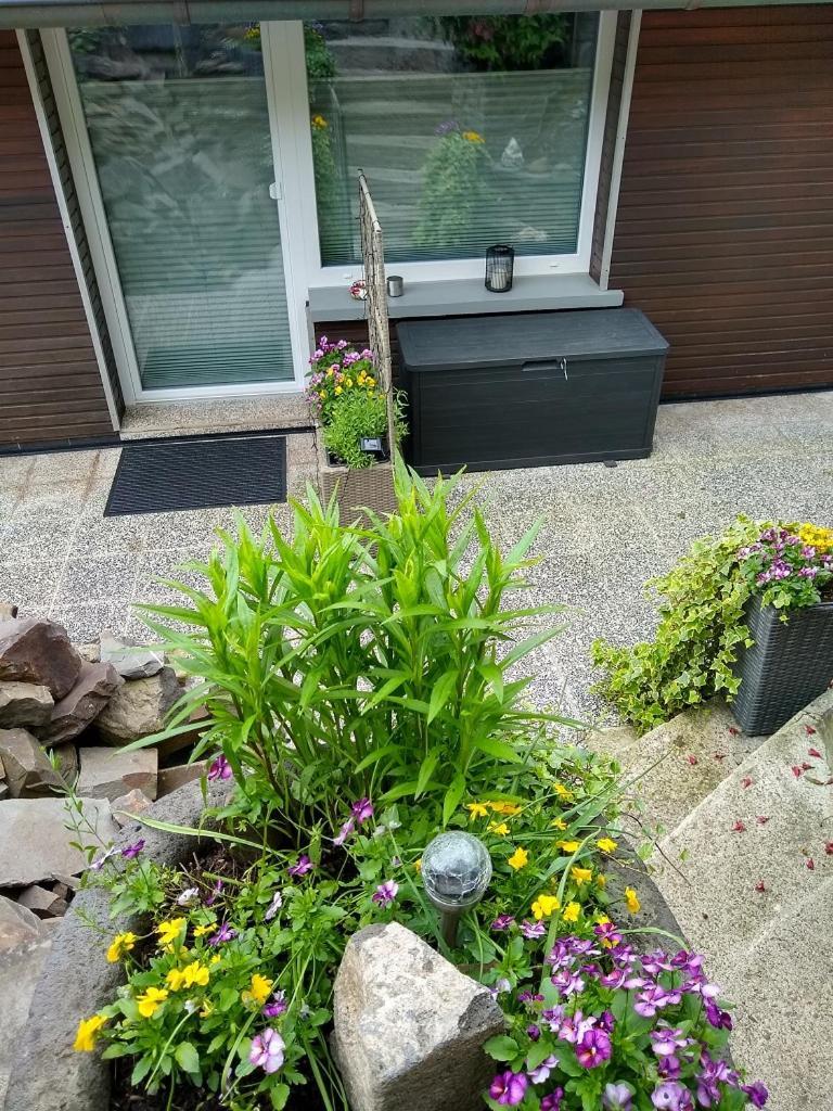Ferienwohnung Lavendel Cochem Buitenkant foto